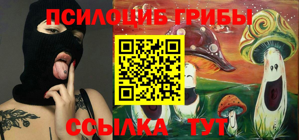 Галлюциногенные грибы Magic Shrooms  Вход с VPN  как найти закладки  Избербаш  Псилоцибиновые грибы Psilocybine cubensis 